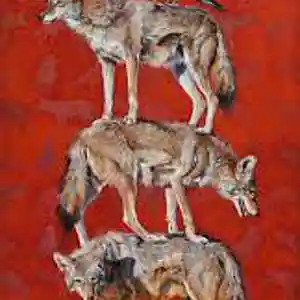 Picture for song 'Coyotes' by artist 'Black Chalk'