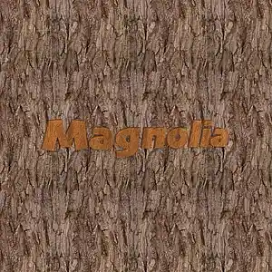 Picture for song 'Magnolia, Theme' by artist 'lauryl laureth'