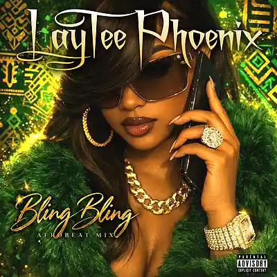 Picture for song 'Bling Bling (Afrobeat Mix)' by artist 'LayTeePhoenix'