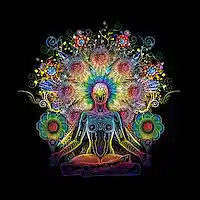 Picture for song 'Meditations Electronic - Move. 8 - Joyful & Dancey' by artist 'Michael Palmieri'