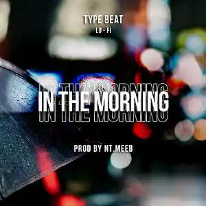 Picture for song 'Chill/Relax Lo-fi Synth Type beat "IN THE MORNING"' by artist 'Nt.meeb'