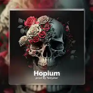 Picture for song 'Hopium - Sad Guitar' by artist 'TEDYSTER'