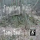 Picture for song 'Mountain Walk' by artist 'Tony Seo'