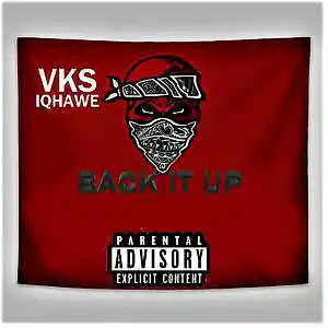 Picture for song 'Back It Up' by artist 'VKS IQHAWE'