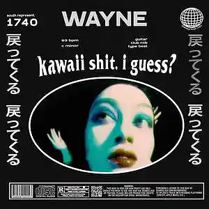 Picture for song 'kawaii' by artist 'wayne.prods'