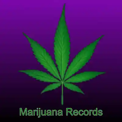 Picture for song 'Alien 808 Plus 1' by artist 'Ziplok'