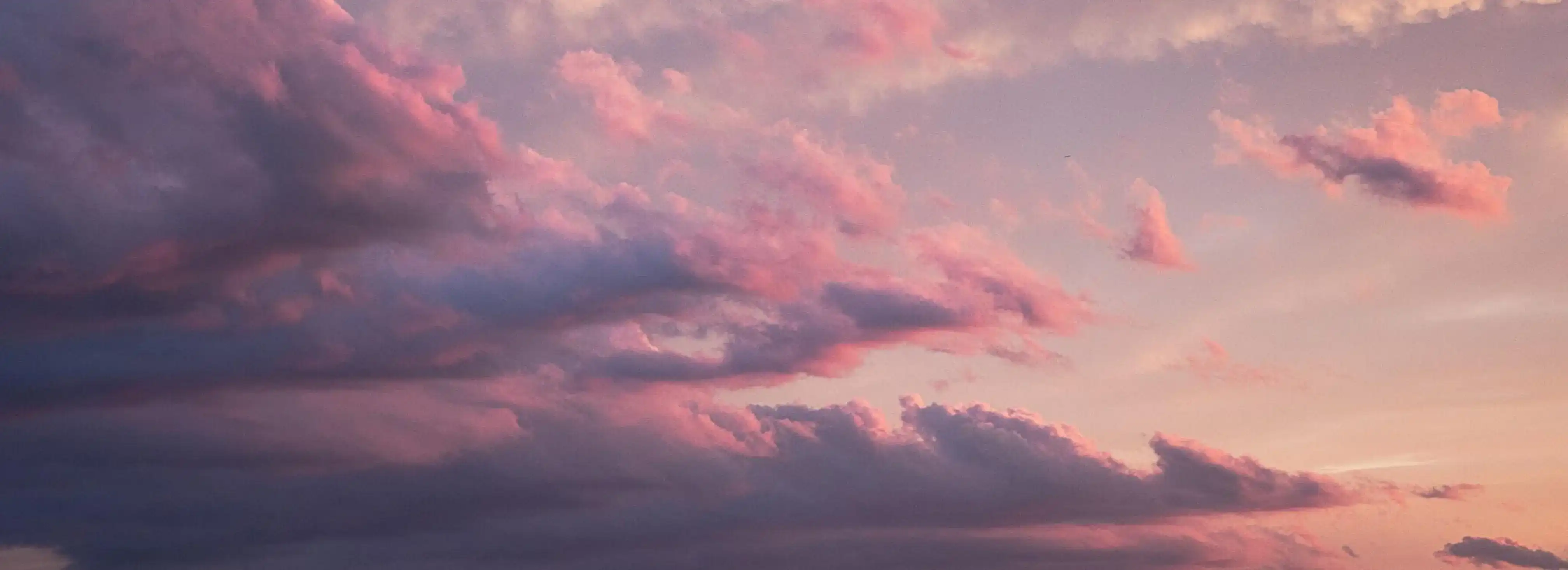 cover pic