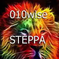 Picture for song 'steppa' by artist '010-Wise'