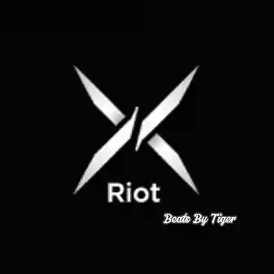 Picture for song 'Riot' by artist 'Beats By Tiger'
