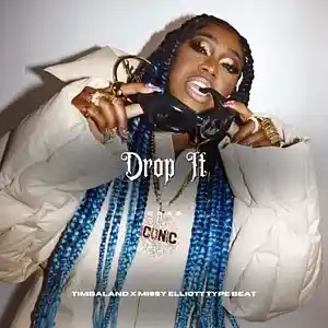 Picture for song '"Drop It" (Timbaland x Missy Elliott x 2000s Type ' by artist 'Dras On The Beat'