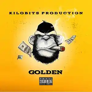 Picture for song 'Golden' by artist 'Kilobits Production'
