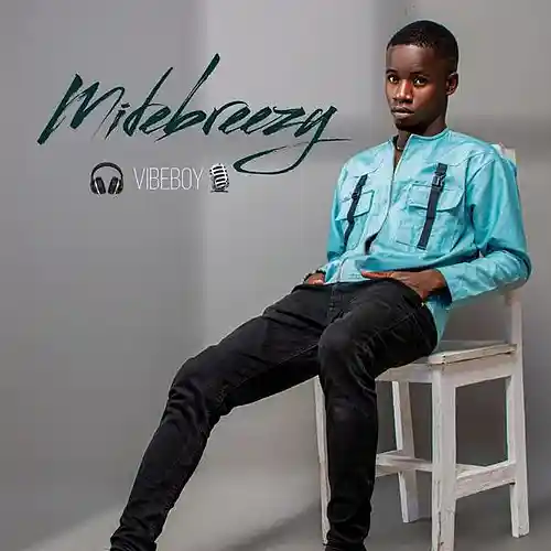 Picture for song 'BB54E1D9-E943-4E03-AEC4-2D44A64AA52B' by artist 'Midebreezy'