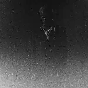 Picture for song '[FREE]Pierre x Playboi Carti type beat MIDNIGHT' by artist 'ProdGray'