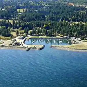 Picture for song 'black haze rappers 9 central canada etx8oilhit' by artist 'PUREXSOULBEATS'