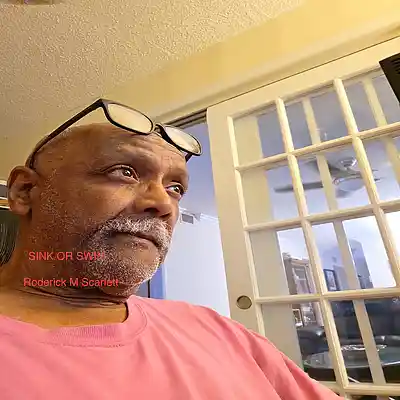 Picture for song 'SINK OR SWIM' by artist 'Roderick M Scarlett'