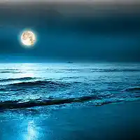 Picture for song 'Waves' by artist 'TopTape Production'