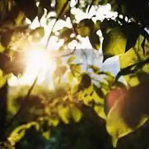 Picture for song 'HAPPY FEELINGS' by artist 'YAHYA ALI'