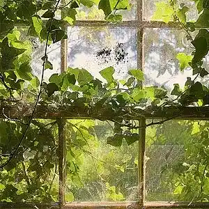 Picture for song 'The long distance runner' by artist 'A Fractal Void'