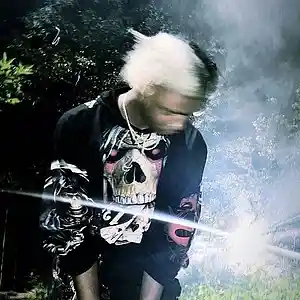 Picture for song '(free) playboi carti + ken carson type beat' by artist 'avryflp'