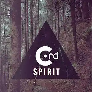 Picture for song 'Spirit (2020)' by artist 'Cord (Estonia)'