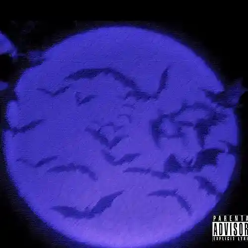 cover pic