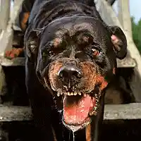 Picture for song 'ADDICTED MINDS ENTERTAINMENT (FREE DL) AME' by artist 'SP-BEATS INSTRUMENTALS'