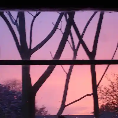 Picture for song 'green moon 021412_2' by artist 'Autonomous Anonymous'