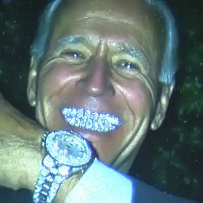 Picture for song 'swapa + glo type beat 2025- "$ICK BIDEN"' by artist 'BRAPH'