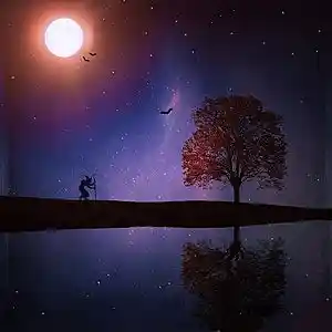 Picture for song 'New Age Nights' by artist 'Michael Bennett'