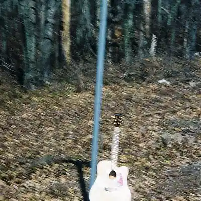 Picture for song 'Wounded 2010 edited_2' by artist 'Mr Wilson Inc'