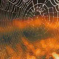 Picture for song 'Am9 Spider Time' by artist 'Viking Blues'