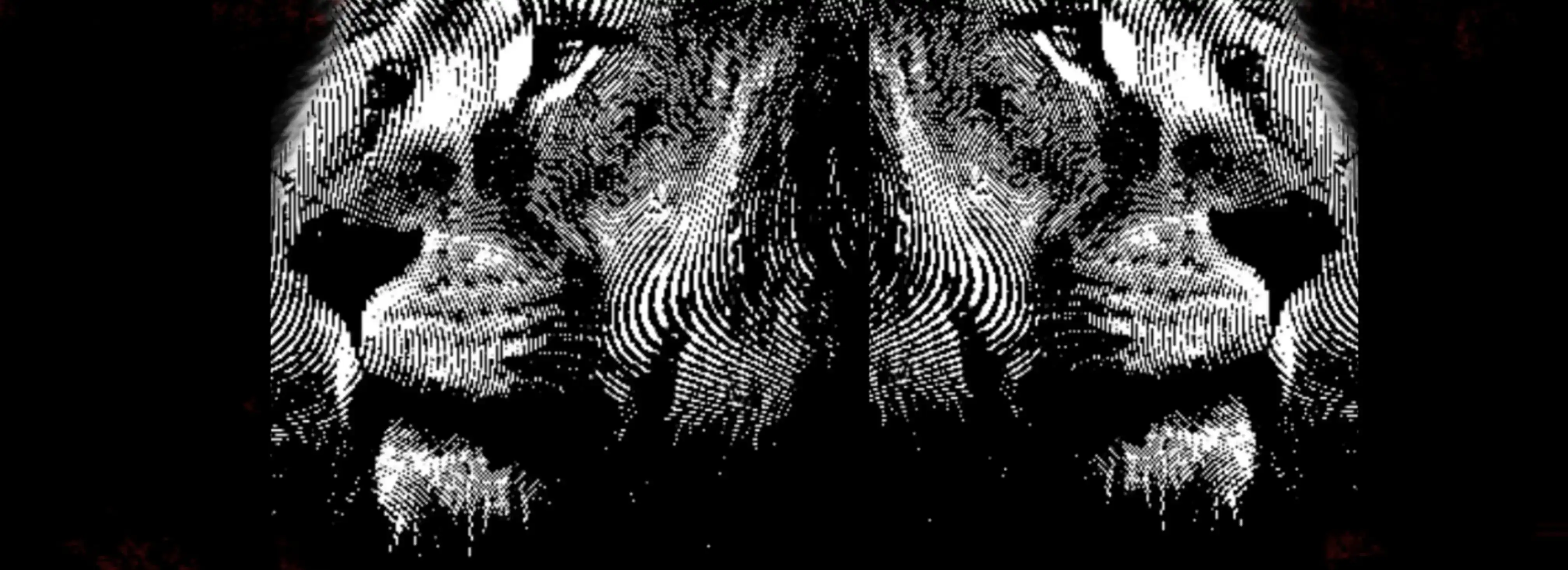 cover pic