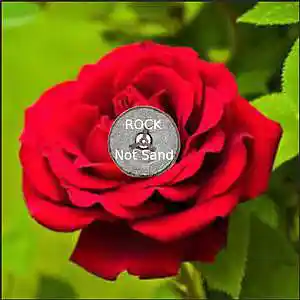 Picture for song 'WE are not Amused (A Rose by any Other Name)' by artist 'Cam7Song'