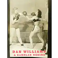 Picture for song 'Appalachian Spring ' by artist 'Dan Williams and Gamelan Regime'