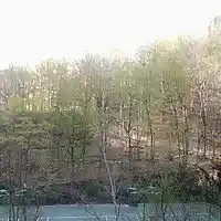 Picture for song 'DjSenate Reb' by artist 'DjSenate'