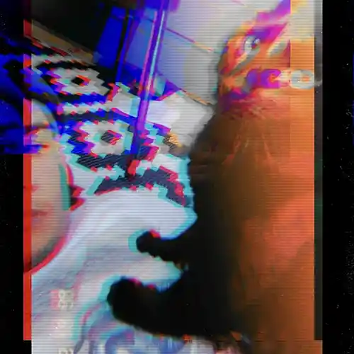 cover pic