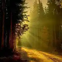 Picture for song '**NEW*** Walk The Path' by artist 'JJDR Productions'