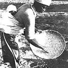 Picture for song 'Won't You Be Kind' by artist 'johnny hoodoo'