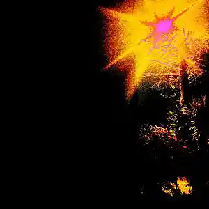 Picture for song 'Midnight Echoes' by artist 'Nikki D'Kat'