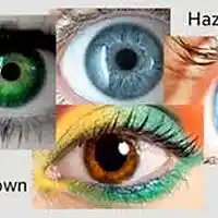 Picture for song 'Brown, Green, Or, Blue' by artist 'paul gorman and the hypnotist collectors'