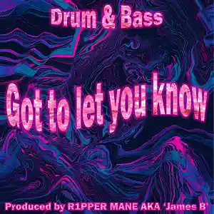Picture for song 'Got to let you know' by artist 'Lxnta Playa Prod.'