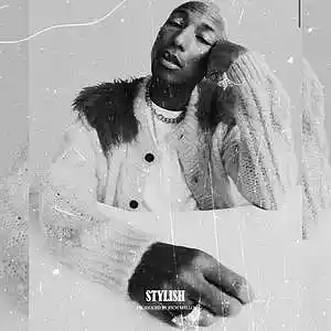 Picture for song 'Stylish' by artist 'RICH MELLO'