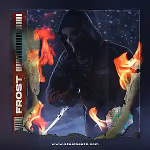 Picture for song 'FROST' by artist 'Beats on SteelBeatz.com'
