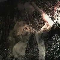 Picture for song 'within this cave' by artist 'Corpselium'