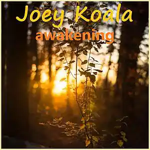 Picture for song 'Awakening' by artist 'Joey Koala'