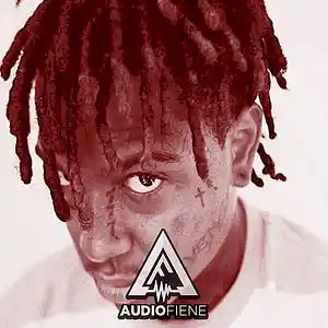 Picture for song 'Madness (Ski Mask, XXX type)' by artist 'Audio Fiene'