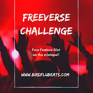 Picture for song 'Free beat challenge - AnuVybe- New Release' by artist 'Birdflubeats'