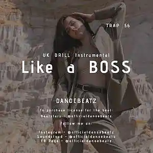 Picture for song 'LIKE A BOSS' by artist 'DanoeBeatz'