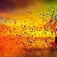 Picture for song 'FeelingTheBreeze Prod- Fire City Beats/C-Ram Beatz' by artist 'Fire City Beats'