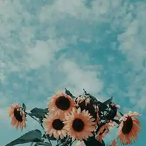 Picture for song 'Luv U To The Moon And Back (Buy 1 Get 2 FREE)' by artist 'HXSHXR'